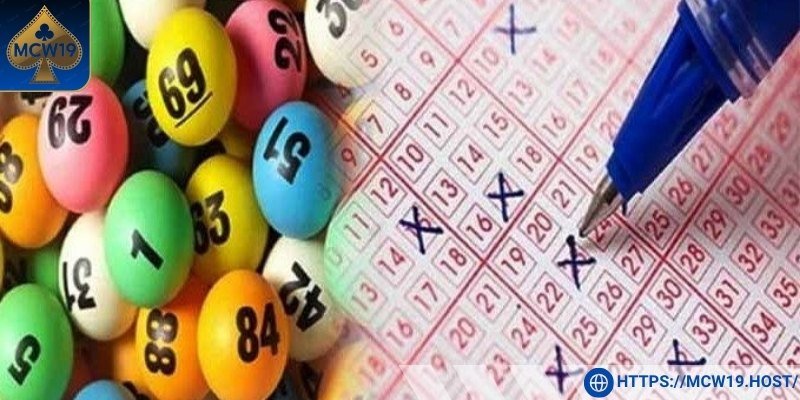 Những thông tin về nuôi lô khung 7 ngày
